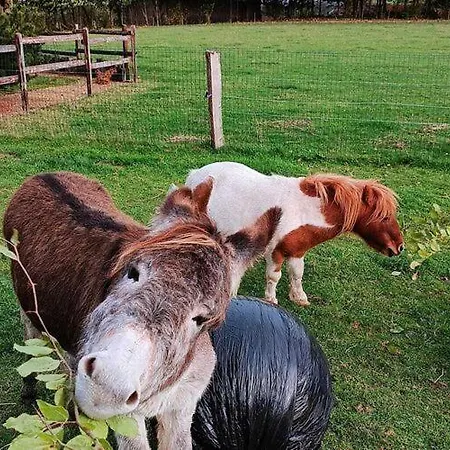 Oree Des Bois In With Garden 팔리세울